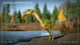 Coelophysis