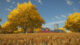 Farming Simulator 22 Header