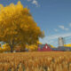 Farming Simulator 22 Header