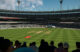 Cricket 22 header