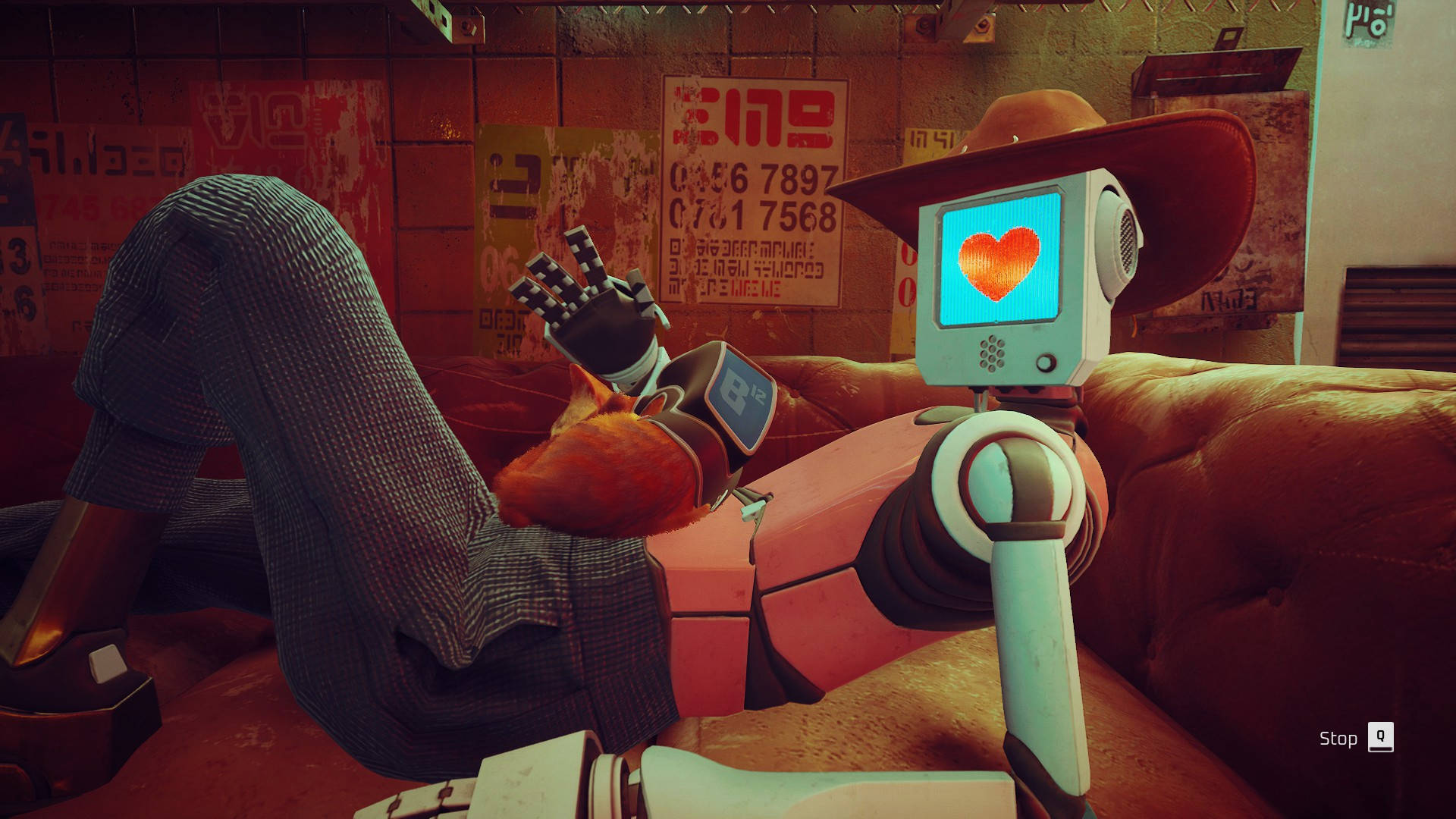 Stray robot love